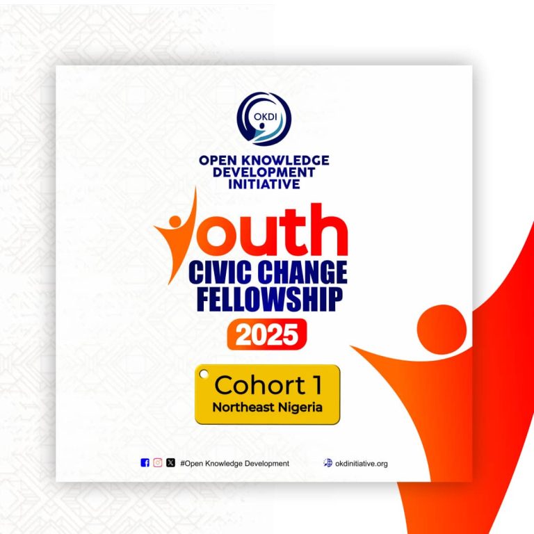 Call for Applications: YOUTH CIVIC CHANGE FELLOWSHIP 2025